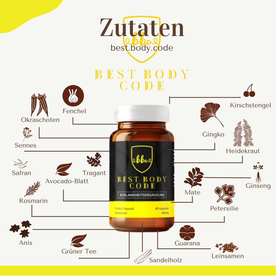 BestBodyCode