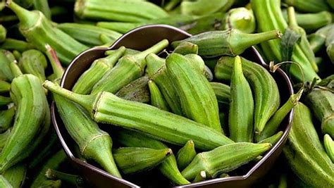 Frische gruene Okraschoten